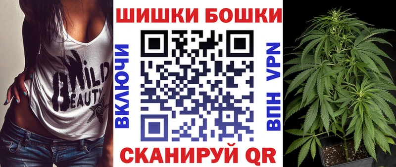 Как найти наркотики Гатчина Псилоцибиновые грибы  A PVP  Каннабис  блэк спрут ССЫЛКА  КОКАИН  АМФЕТАМИН  Меф 