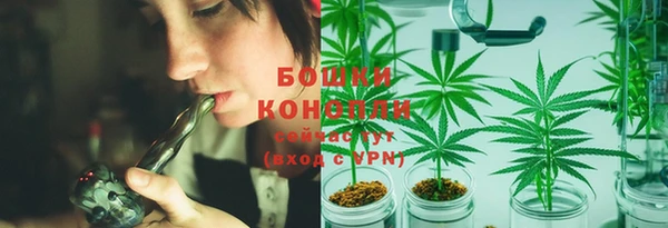 гидра Киренск