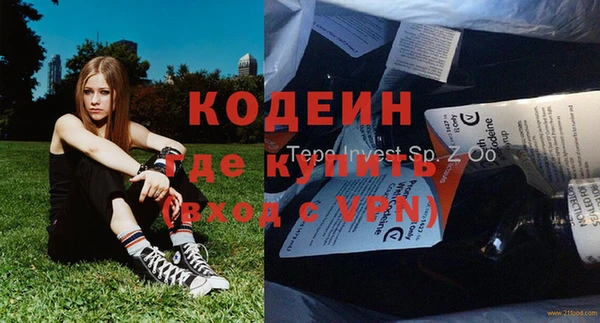 прущие грибы Армянск