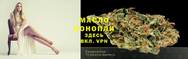 шишки Кодинск