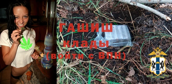 шишки Кодинск
