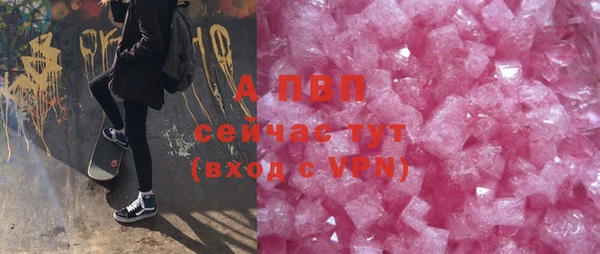шишки Кодинск