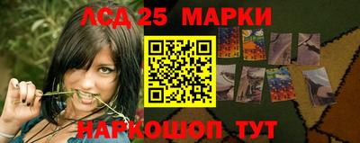 мяу мяу мука Беслан