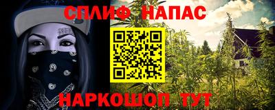 мяу мяу мука Беслан