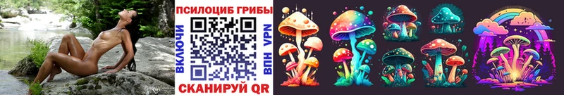 omg ссылки  Гатчина  Псилоцибиновые грибы Magic Shrooms 