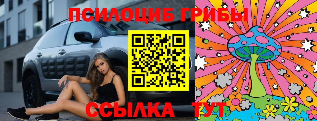 Псилоцибиновые грибы ЛСД Гатчина