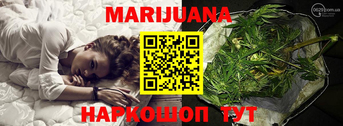 Бошки Шишки конопля  Конопля OG Kush  Марихуана MAZAR  Гатчина 